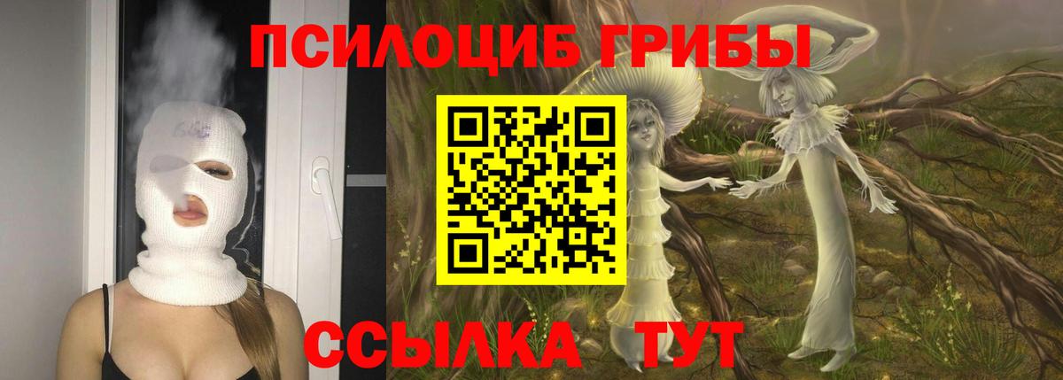 Железноводск  Псилоцибиновые грибы Cubensis  Вход с VPN 
